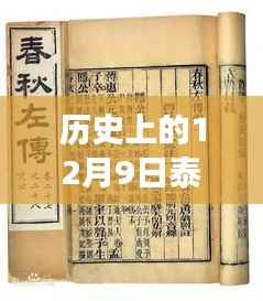 泰尔丝最新特色小店,美食奇遇与历史的隐藏瑰宝