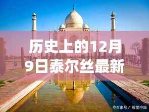 泰尔丝最新特色小店,美食奇遇与历史的隐藏瑰宝