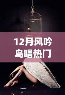 12月风吟鸟唱,学习变化中的自信与成就感之旅