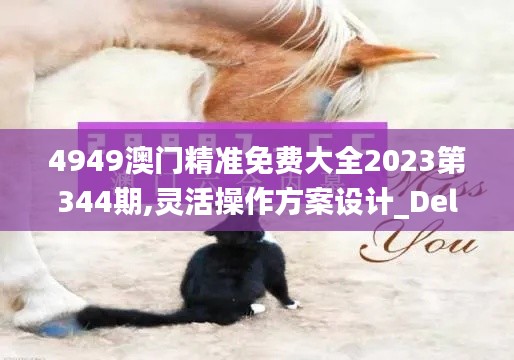4949澳门精准免费大全2023第344期,灵活操作方案设计_Deluxe8.357