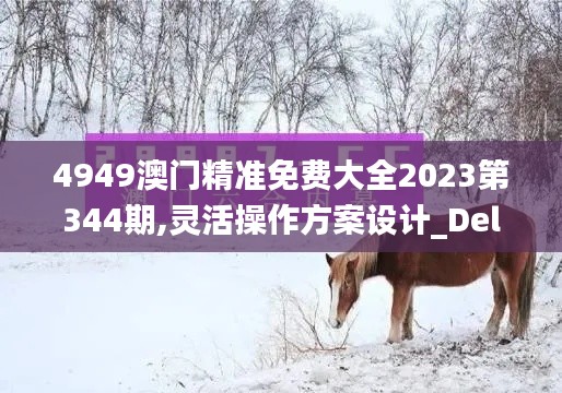 4949澳门精准免费大全2023第344期,灵活操作方案设计_Deluxe8.357