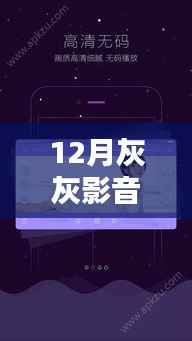 灰灰影音引领新时代,12月全新升级,科技盛宴开启