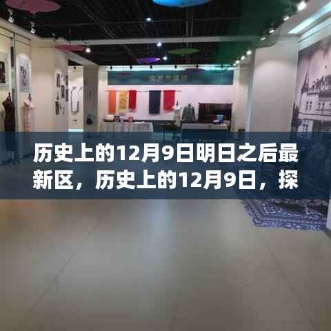 明日之后最新区,探寻历史脉络与未来展望,历史上的十二月九日展望区揭秘