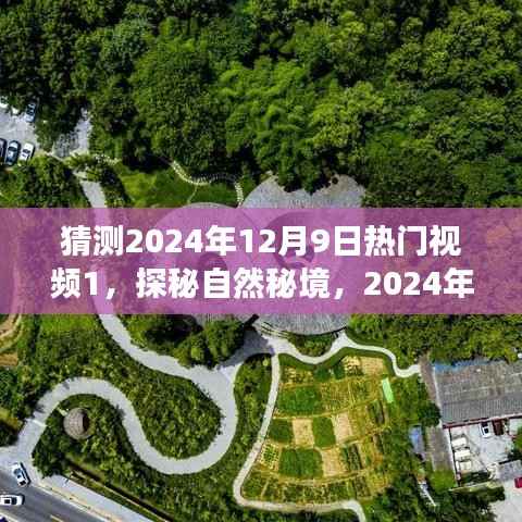 探秘自然秘境，揭秘未来热门旅行视频预告，寻找内心的山水乐园（2024年热门视频预告）