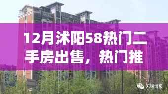 沭阳地区十二月优选热门二手房出售推荐