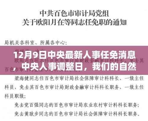 中央人事调整日，自然探索之旅启程之际的人事任免消息