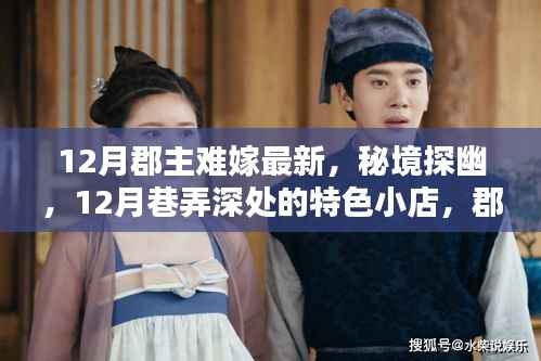 秘境探幽,秘境秘境深处郡主的独特邂逅与特色小店