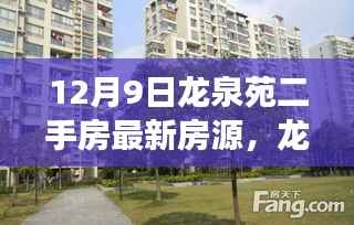 龙泉苑二手房最新房源揭秘,温馨家园的故事