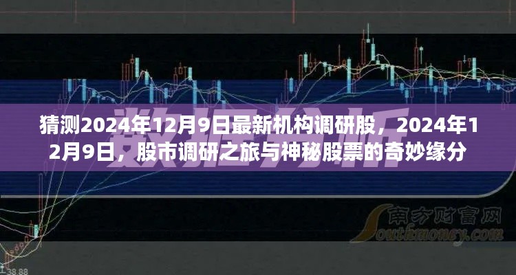 揭秘机构调研之旅,探寻神秘股票与股市的奇妙缘分(预测2024年12月9日最新动态)