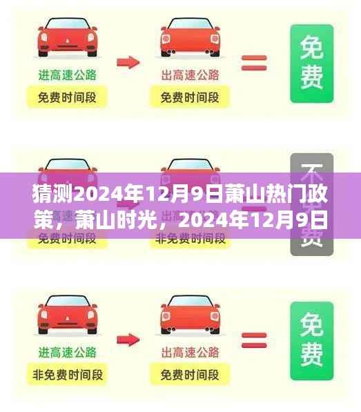 2024年12月9日萧山政策猜想与温馨日常