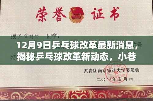 揭秘乒乓球改革新动态,乒乓奇缘与隐藏特色小店的发展更新(最新消息)