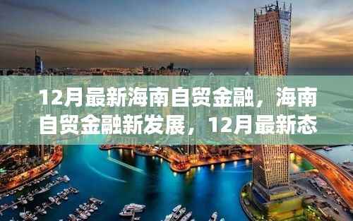 12月最新海南自贸金融深度解析与观点碰撞,探索新发展态势