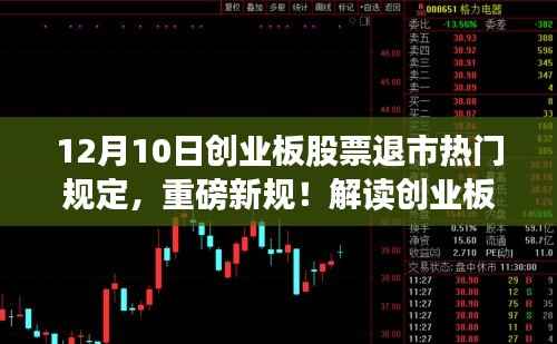 深度解读创业板股票退市新规,机遇与挑战背后的热门规定重磅来袭!