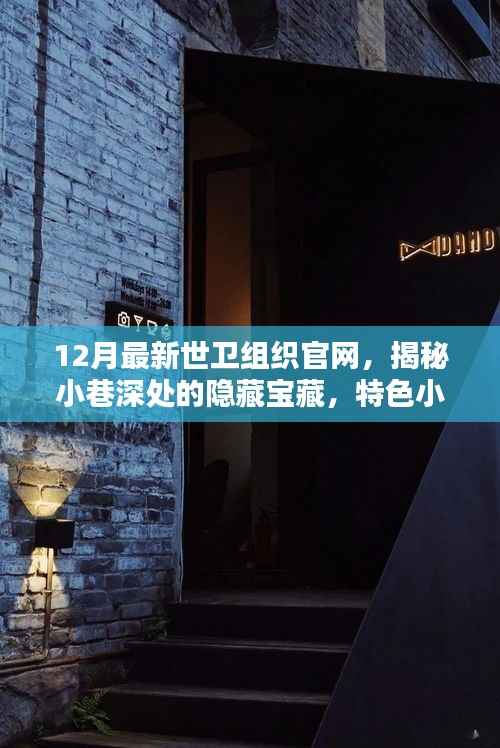 世卫组织官网揭秘,小巷深处的宝藏与特色小店十二月新貌