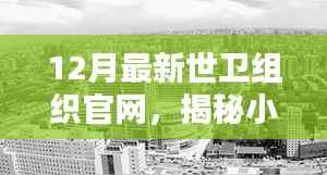 世卫组织官网揭秘,小巷深处的宝藏与特色小店十二月新貌