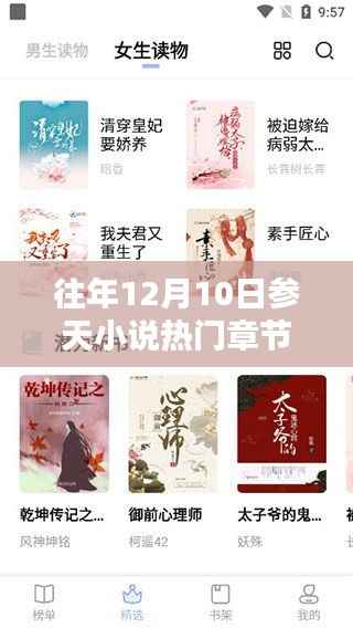 历年12月10日参天小说热门章节盘点,探寻网络文学风潮的风向标