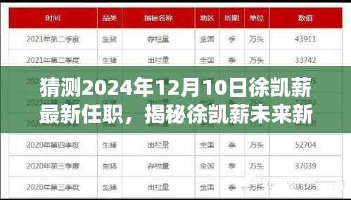 揭秘徐凯薪未来动向,预测其于2024年12月10日的最新任职揭晓!