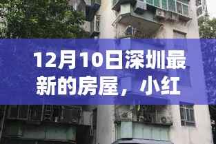 独家揭秘!小红书热推深圳最新房源速递,理想家园等你来选!