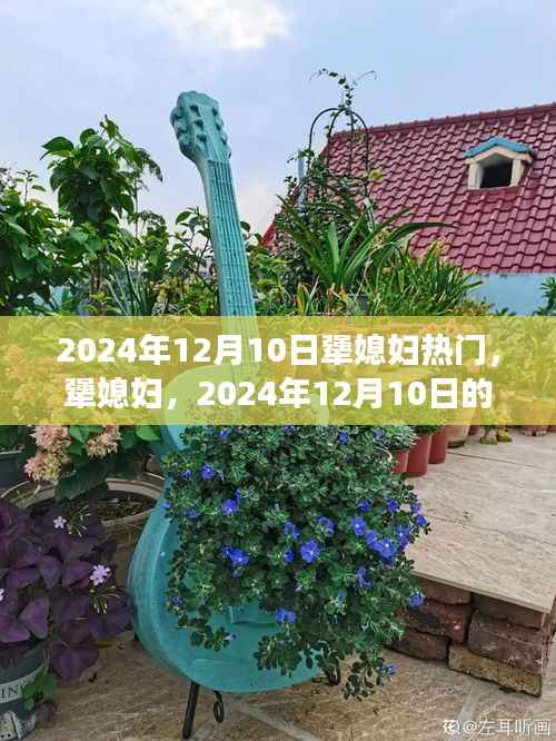 犟媳妇热潮来袭,2024年12月10日的暖流涌动