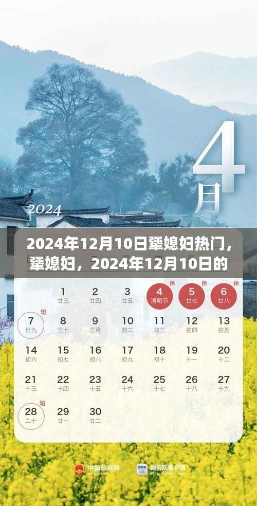 犟媳妇热潮来袭,2024年12月10日的暖流涌动
