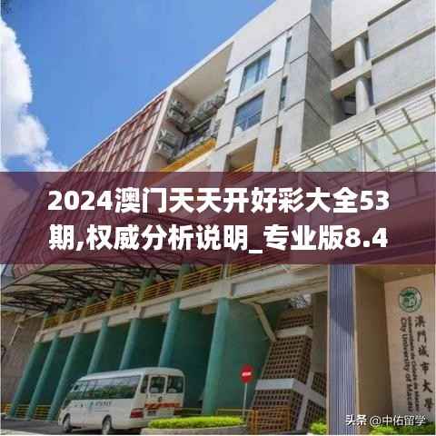 2024澳门天天开好彩大全53期,权威分析说明_专业版8.404