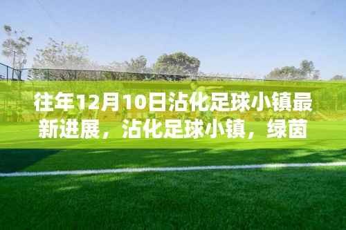 沾化足球小镇,绿茵场上的自然之旅与心灵觉醒的最新进展(往年12月10日)