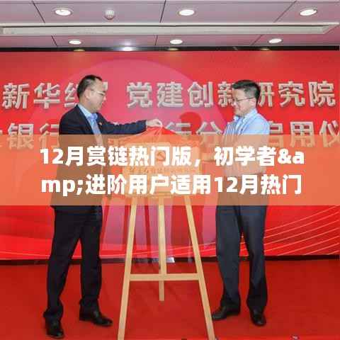 12月热门赏链版攻略,从初学者到进阶用户,一步步掌握任务与技能学习技巧