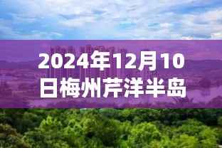 2024年12月10日梅州芹洋半岛的新篇章,热土之上的温馨日常