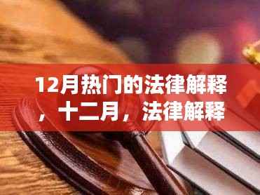 十二月法律解释热点,友情与法律交织的温馨碰撞