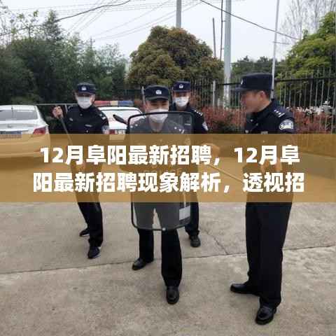 12月阜阳最新招聘现象深度解析,观点冲突与个人立场的透视