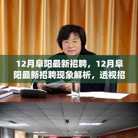 12月阜阳最新招聘现象深度解析,观点冲突与个人立场的透视