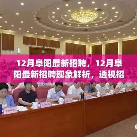 12月阜阳最新招聘现象深度解析,观点冲突与个人立场的透视