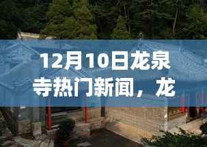 龙泉寺热议,励志故事冬日的绽放,探寻自信与成就之源