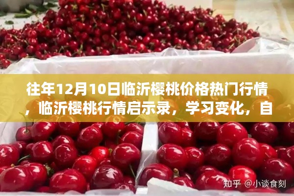 临沂樱桃行情启示录,热门行情下的自信成就梦想之路