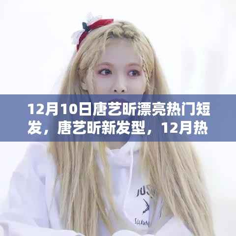 新闻动态 第442页