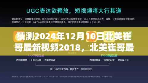 北美崔哥最新视频作品猜测与分析,深度体验与用户体验体验展望(2024年12月10日)