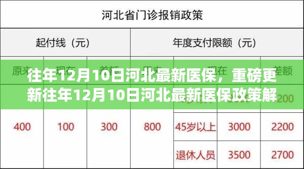 重磅解读,往年12月10日河北医保政策更新全解析,深入了解医保变革!