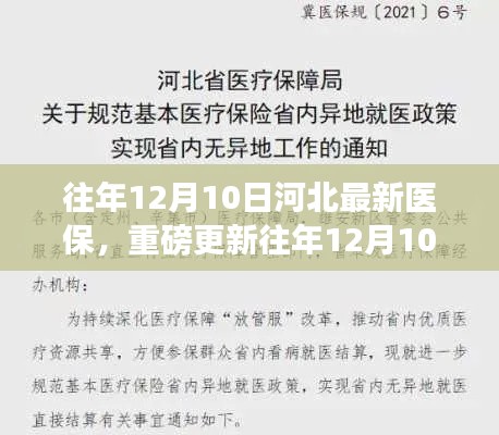 重磅解读,往年12月10日河北医保政策更新全解析,深入了解医保变革!