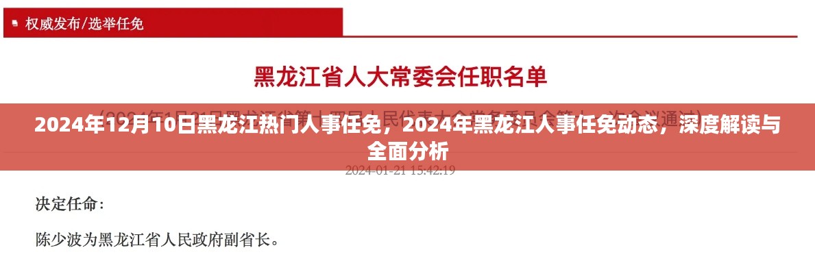 黑龙江人事任免动态深度解读与全面分析(2024年12月版)