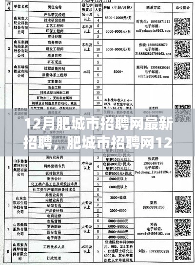 肥城市招聘网最新职位应聘全攻略,入门到成功成功之路在12月开启