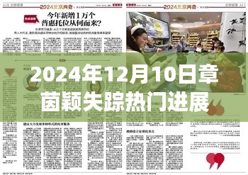 章茵颖失踪事件最新进展深度解析(2024年12月10日)