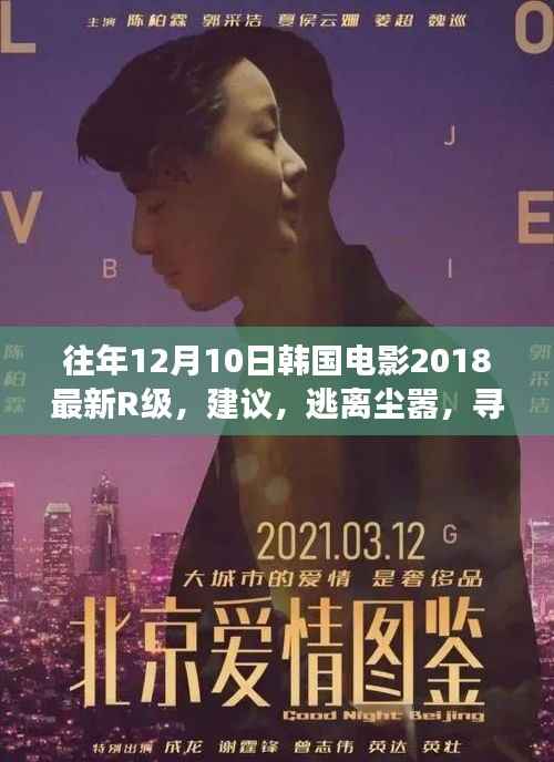 韩国电影之旅,逃离尘嚣,寻找内心宁静的启示与乐趣(2018最新R级)