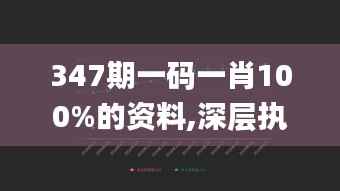 347期一码一肖100%的资料,深层执行数据策略_桌面款7.243