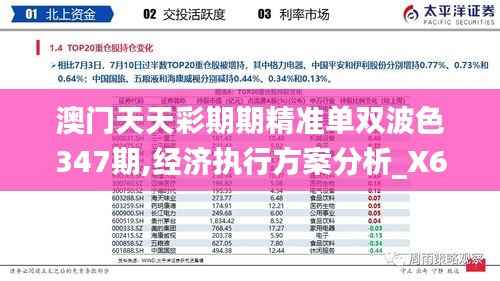 澳门天天彩期期精准单双波色347期,经济执行方案分析_X6.129