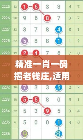 精准一肖一码揭老钱庄,适用解析计划方案_标准版1.741