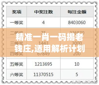 精准一肖一码揭老钱庄,适用解析计划方案_标准版1.741