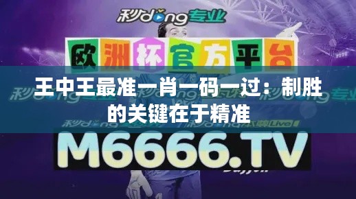 王中王最准一肖一码一过:制胜的关键在于精准