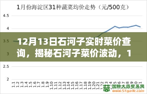 揭秘石河子菜价波动,最新实时菜价查询深度解析(12月13日)