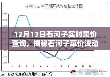 揭秘石河子菜价波动,最新实时菜价查询深度解析(12月13日)