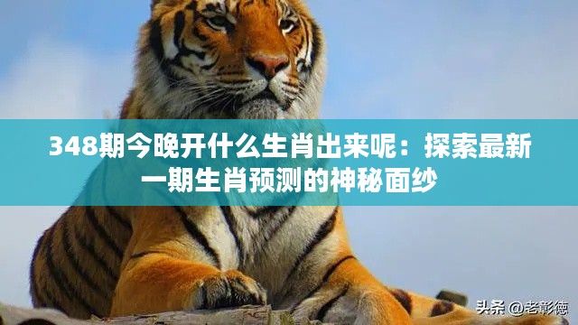348期今晚开什么生肖出来呢:探索最新一期生肖预测的神秘面纱
